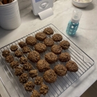 Baby Breakfast Cookies (Nut-free!) (V, DF, GF, NF)